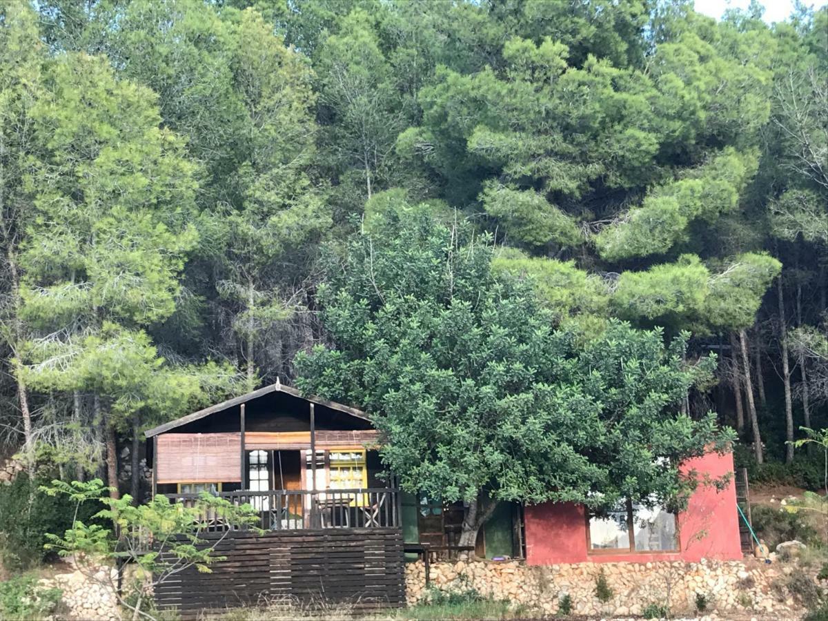 BolullaCasa Del Paso别墅 外观 照片